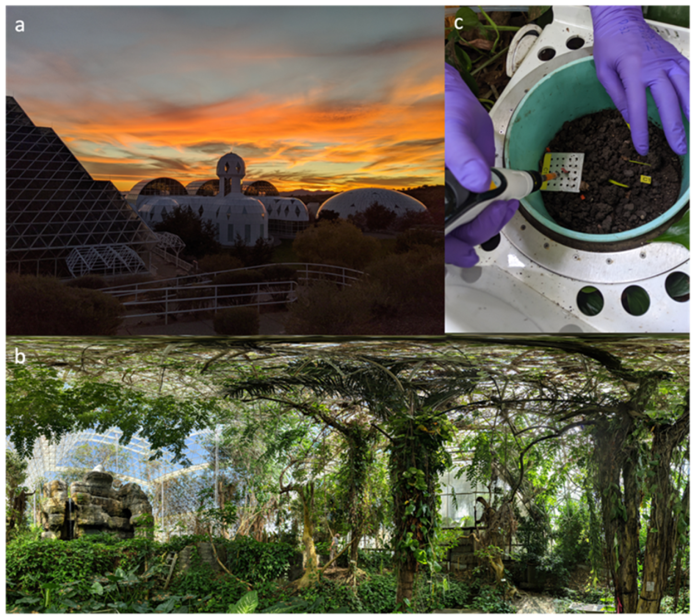 This image shows Bisophere 2 (a), which houses a tropical rainforest (b) where researchers performed an ecosystem-scale drought experiment. Researchers labeled the soil (c) to track the release of carbon dioxide and volatile organic compounds.