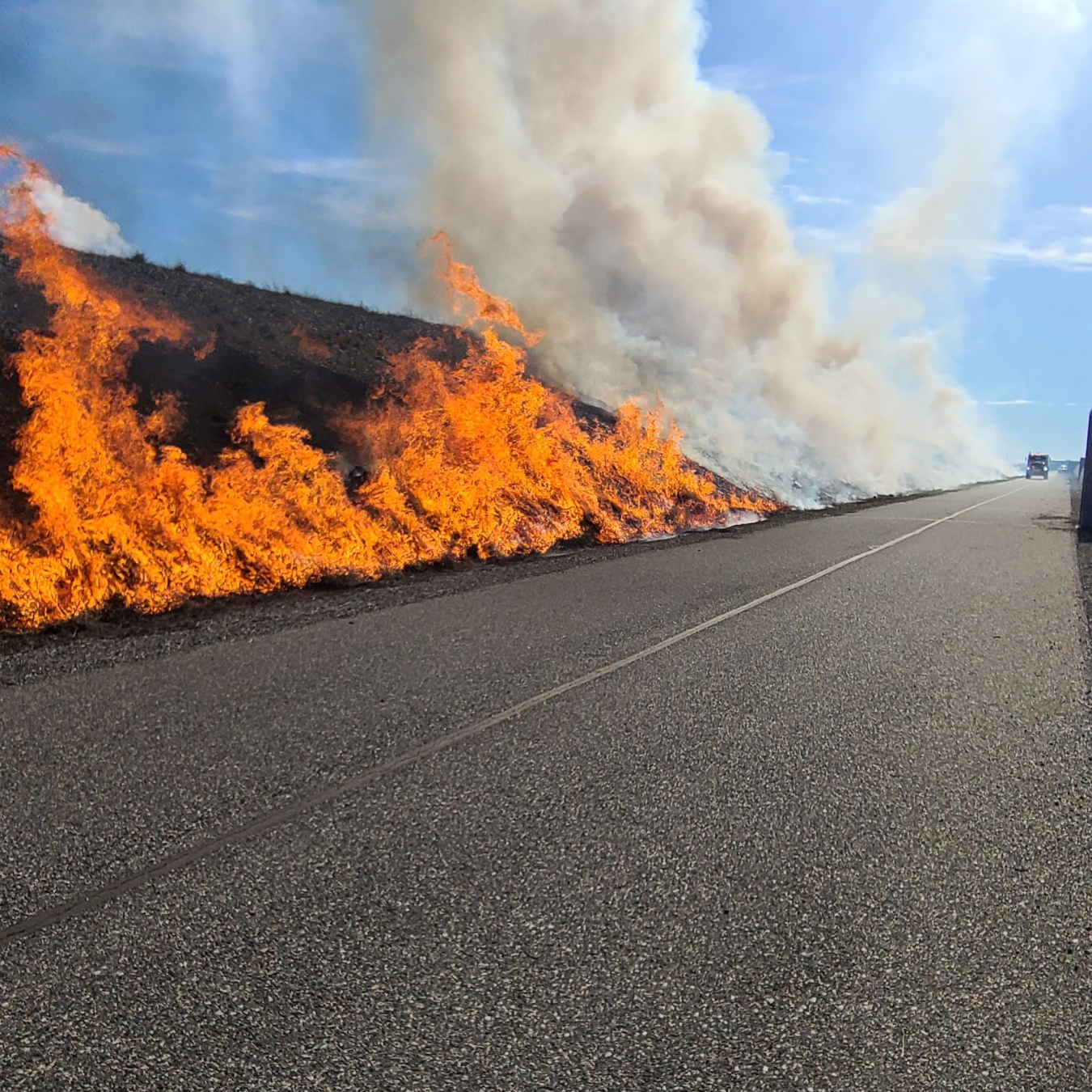 Piles of tumbleweed alongside a road being burned