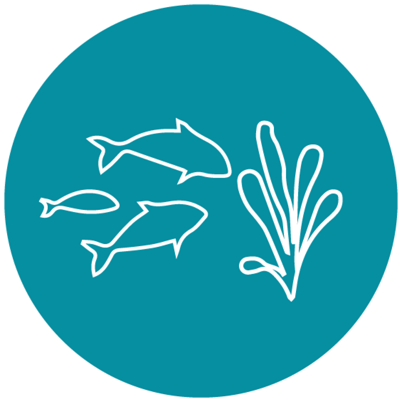 An icon of fish next to seaweed