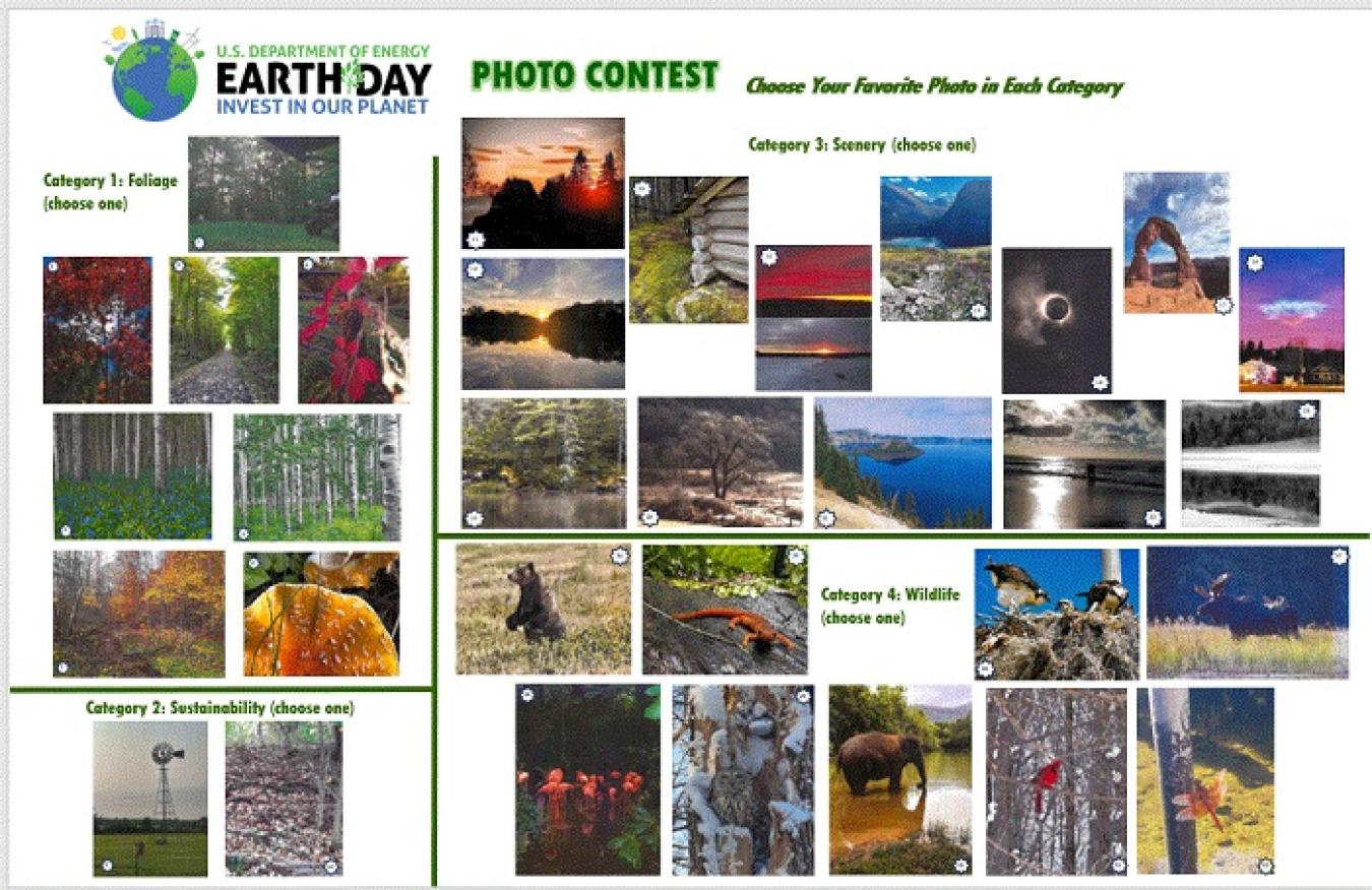 Collage of lots of different nature photos that are a part of an Earth Day photo contest