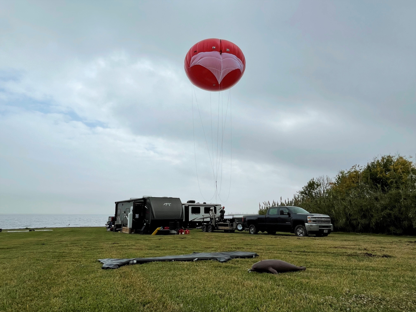 The team prepares to launch the marine wildlife detection tethered balloon to test its capabilities. Fake marine animals, made of plastic and cardboard in the shape of a seal and large fish, lay in the grass for the wildlife detection system to identify during its trial.