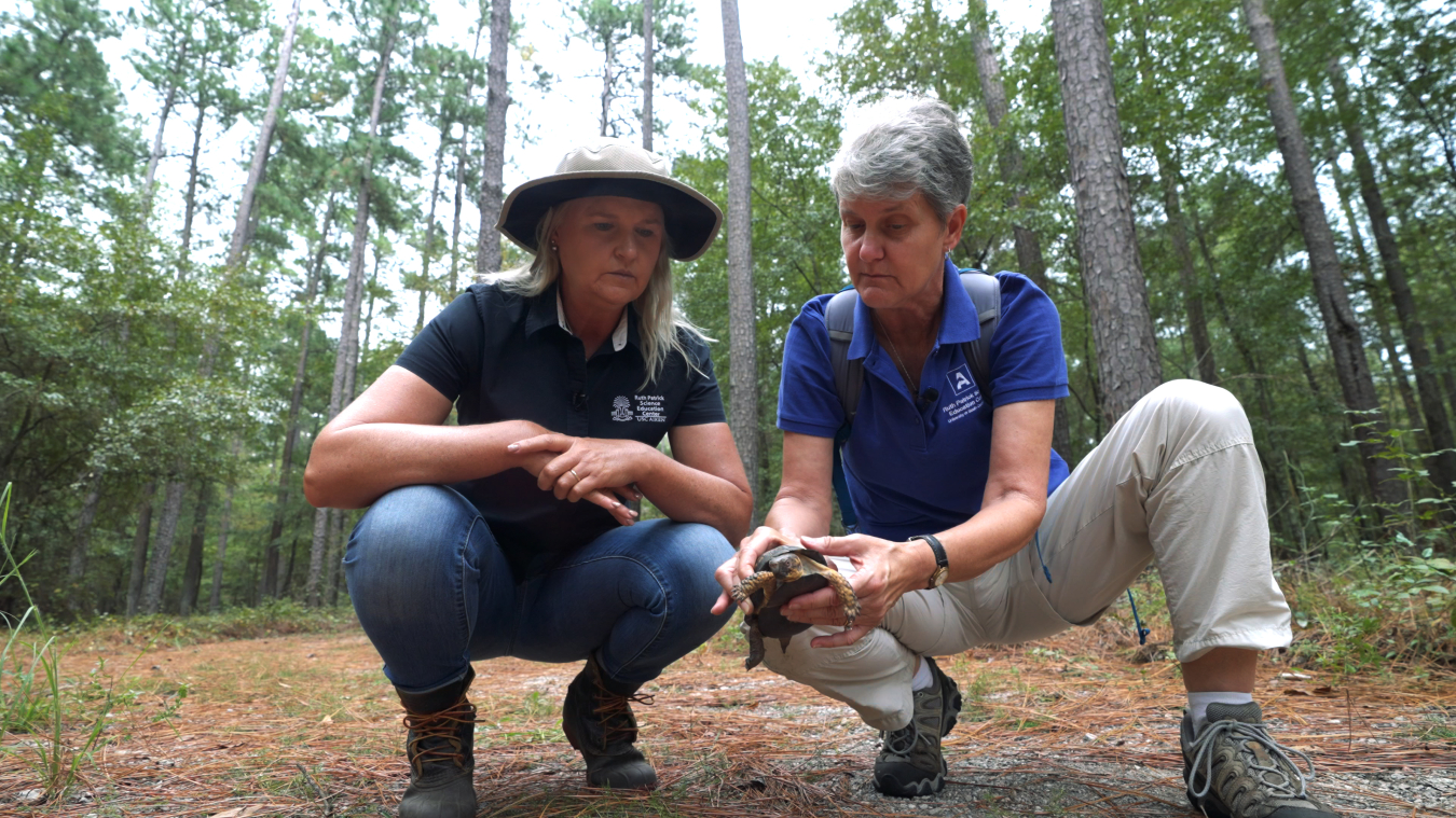Two women crouching down outside in the woods, one of them holds a turtle