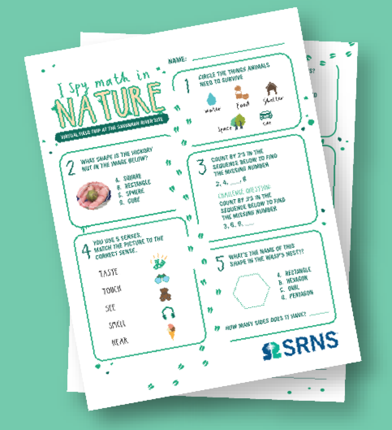 A graphic of worksheets for a virtual field trip