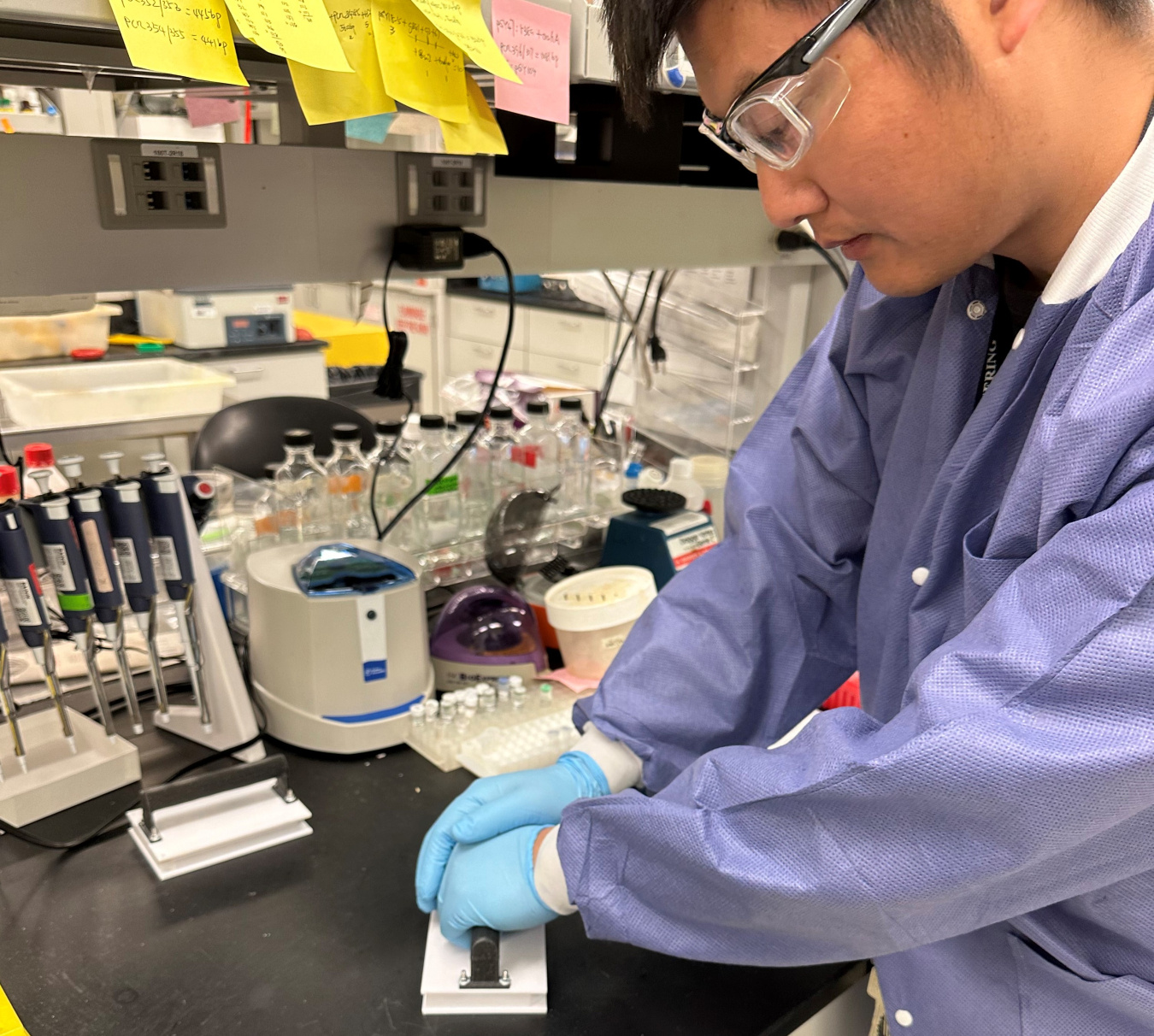 National Laboratory Squashes Fungal Processing Time to Accelerate ...