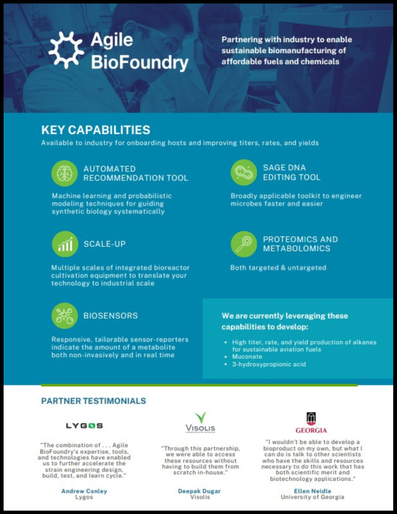 ABF-Flyer