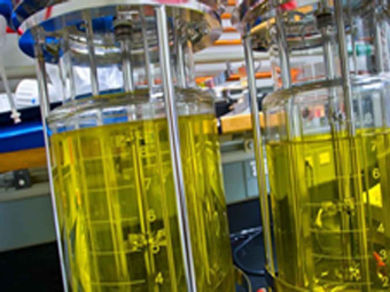 DOE Bioenergy Research Centers