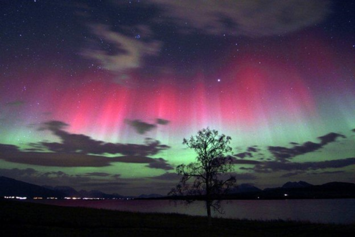 The aurora borealis forms from particles colliding in waves in plasma in the Earth’s atmosphere.