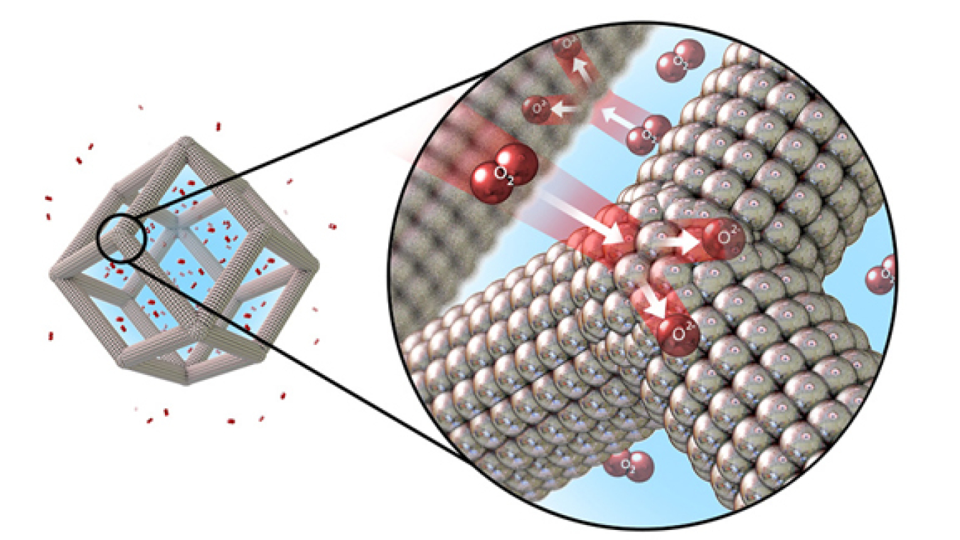 A team of scientists designed platinum-nickel nanoframes with multilayered platinum skin structure. The structure catalyzes the oxygen reduction reaction (shown here) on the surface.