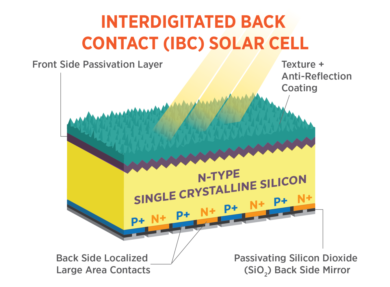 This image shows the layers of an interdigitated back contact solar cell: the front side passivation layer, the texture and antireflective coating, the n-type single crystalline silicon, the passivating silicon dioxide back side mirror, and the back side localized large area contacts.