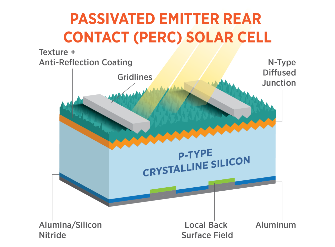 This image shows the layers of a passivated emitter rear contact (PERC) solar cell: the texture and anti-reflective coating, gridlines, n-type diffused junction, p-type crystalline silicon, alumina/silicon nitride, the local back surface field, and the aluminum.