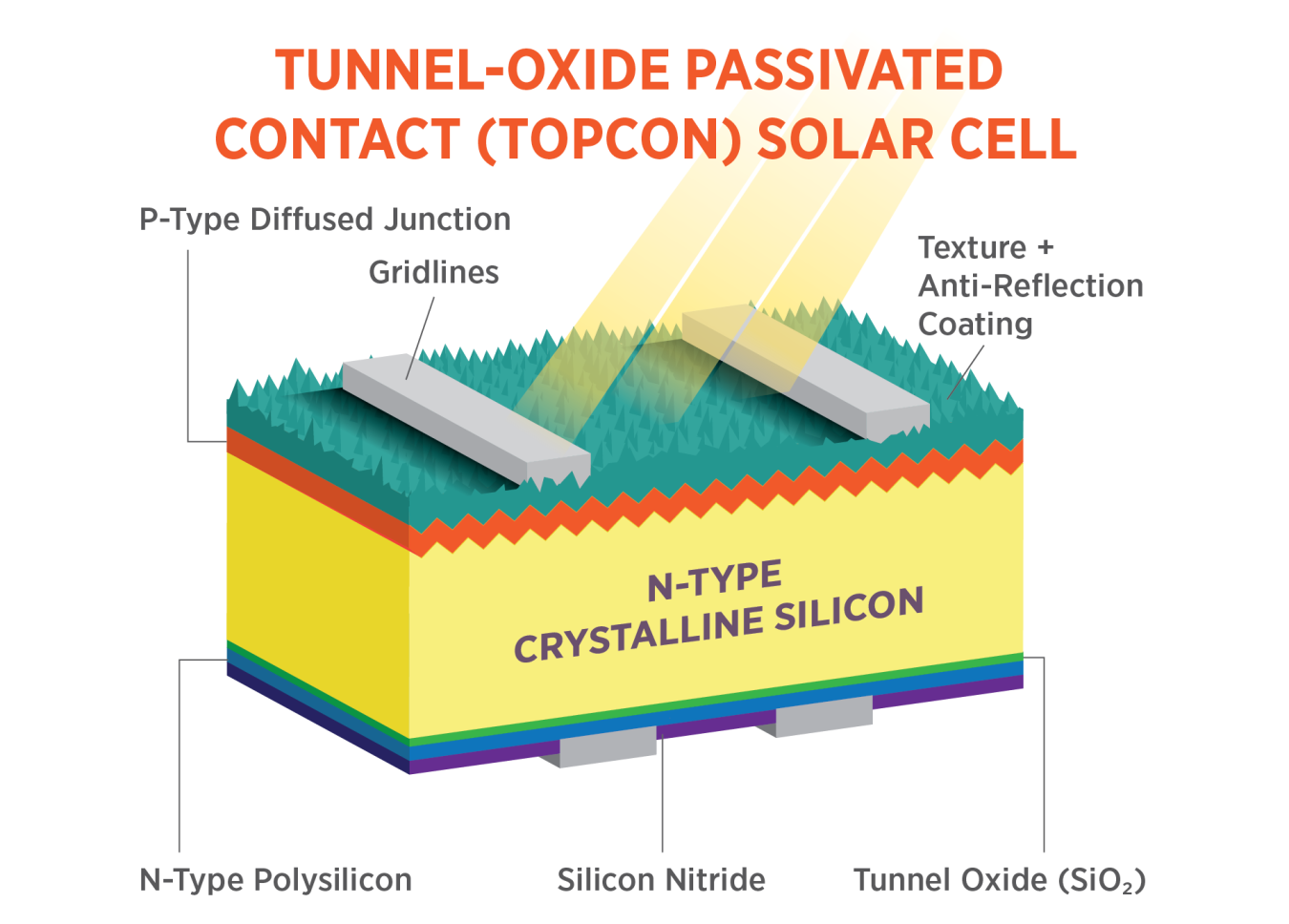 This image shows the layers of a tunnel-oxide passivated contacts (TOPCON) solar cell: the p-type diffused junction, the gridlines, the texture and antireflective coating, the n-type crystalline silicon, the n-type polysilicon, the silicon nitride, and the tunnel oxide.