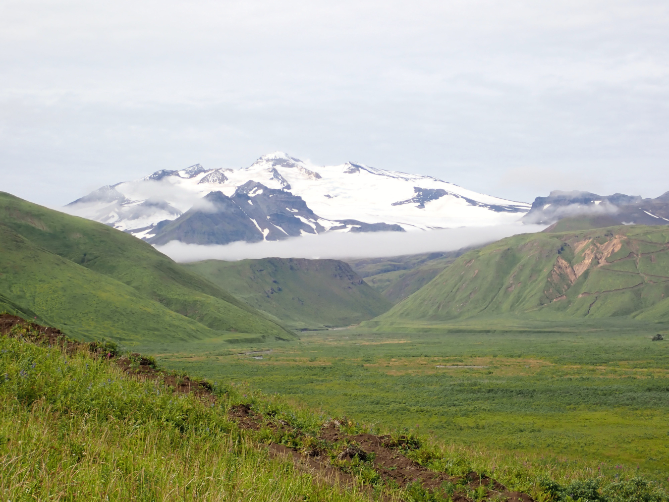 Growing up in Unalaska, on clear days we see the light steam rising from the top of Makushin Volcano.