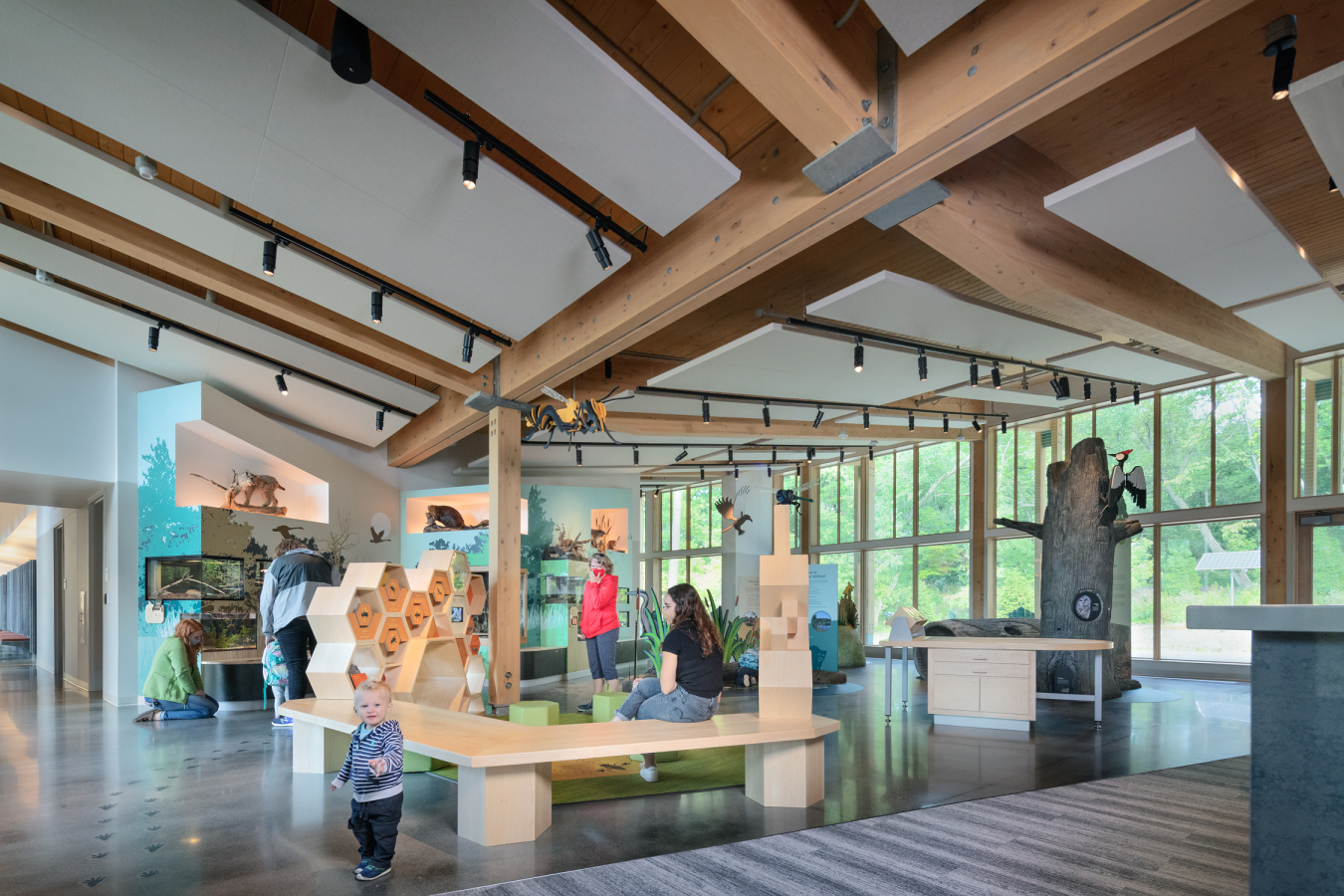The Westwood Hills Nature Center Interpretive Center surrounds visitors with educational opportunities—as well as comfort provided by the geothermal heat pump system that heats and cools the air around them and the radiant flooring under their feet.