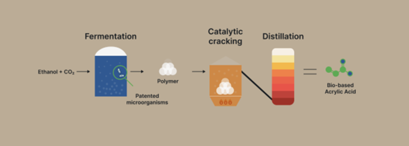 Industrial microbes process outline graphic. 