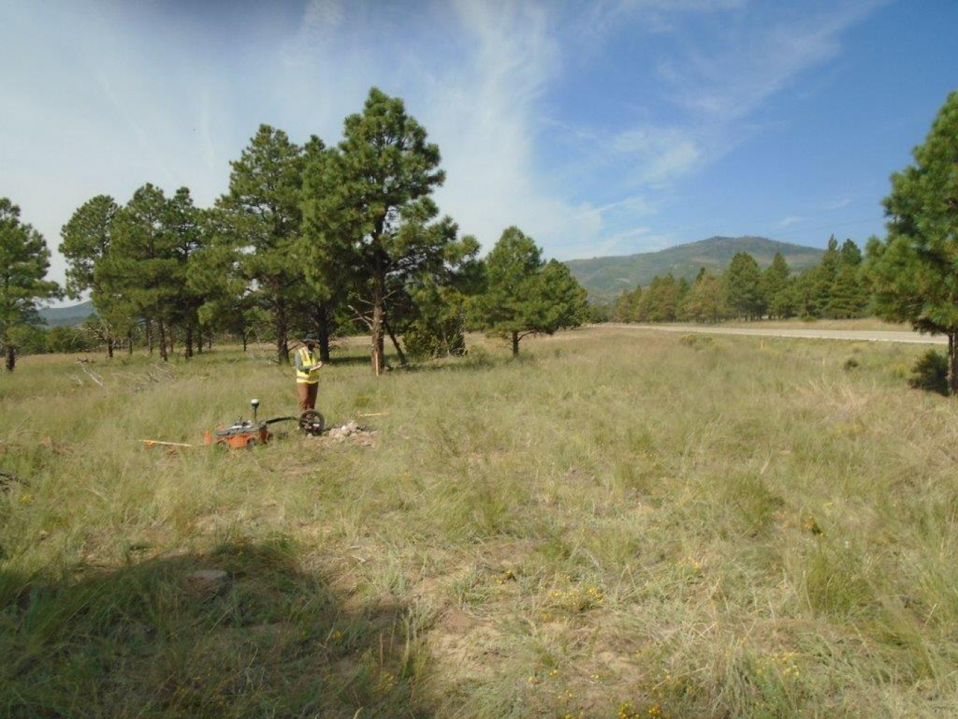 An open grass field with a person standing in the middle conducting surveying of the land