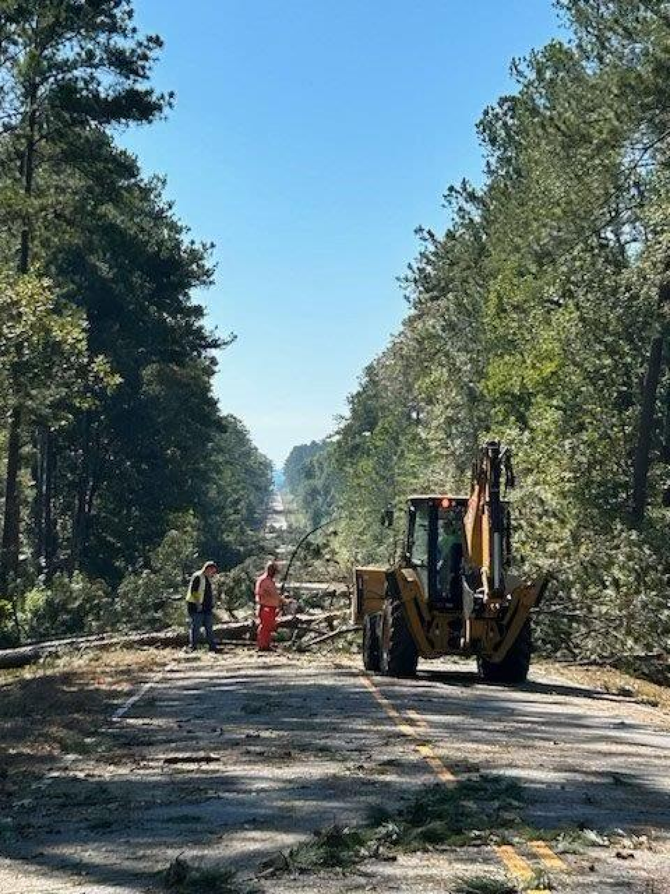 Vehicles and people working on a tree that fell down across a road
