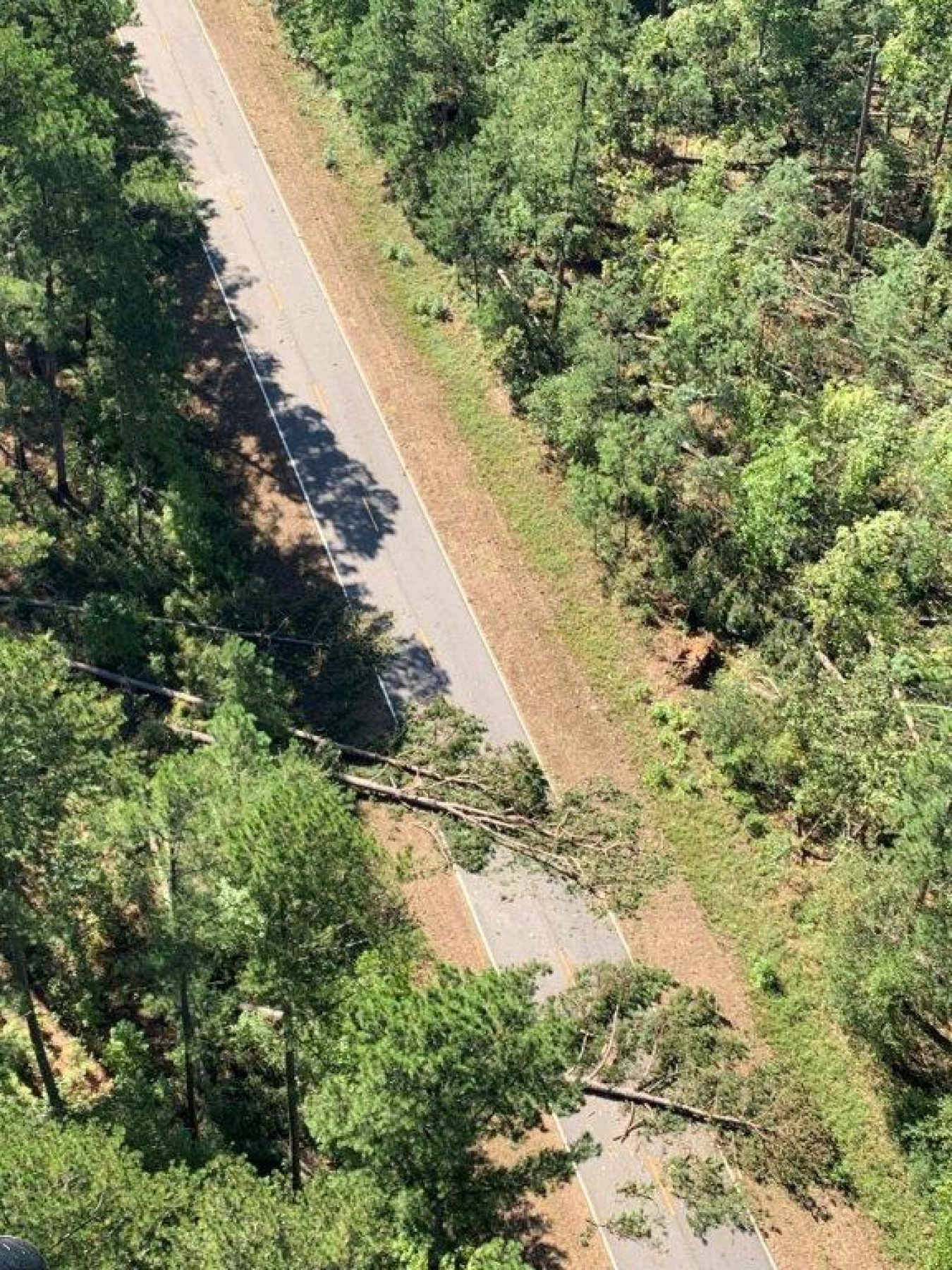 An aerial view of trees down across a road