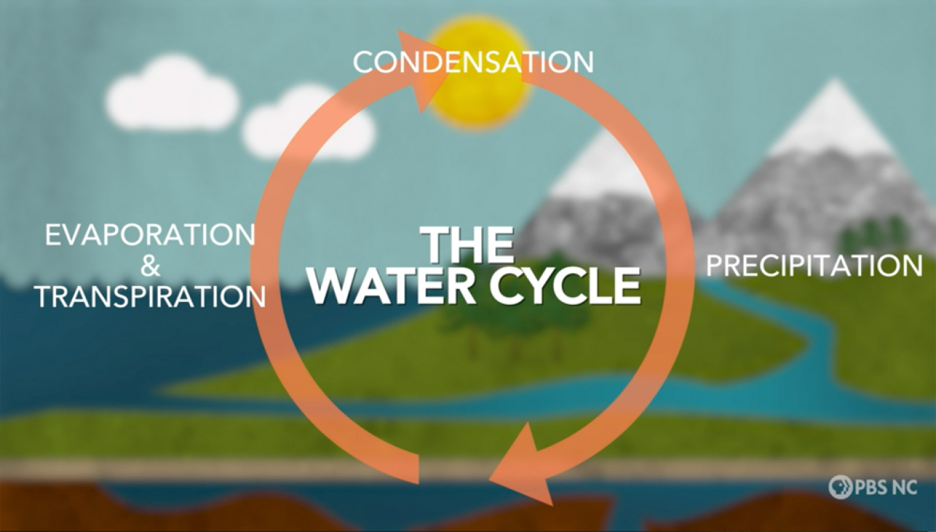Illustration of the water cycle