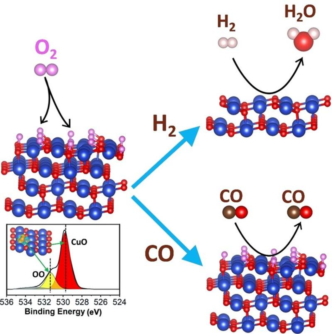 Peroxide (OO) forms on CuO by annealing in O2, leading to a larger oxygen surface population. Greater oxygen coverage prevents organic species from reacting on the oxygen-rich CuO surface (bottom right) and promotes hydrogen gas decomposition (top right).