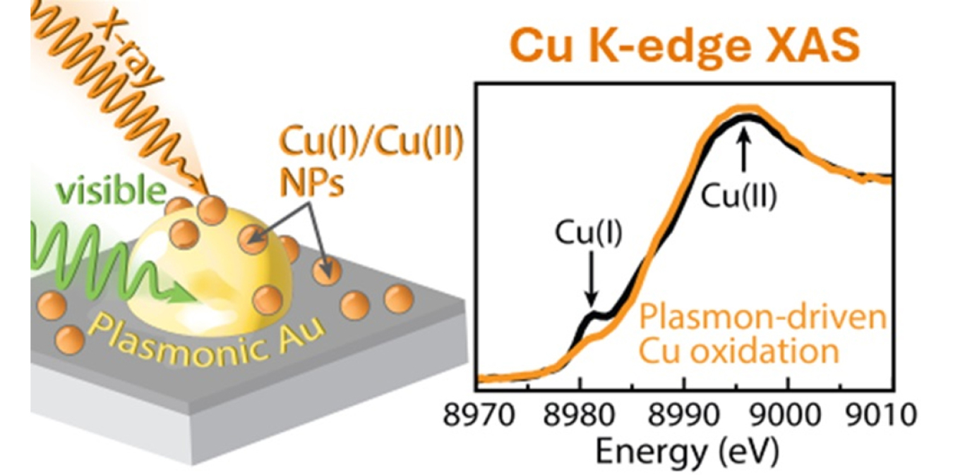 Copper X-ray absorption spectroscopy measurements of catalysts in action demonstrate light-driven oxidation of copper nanoparticles under photocatalytic operating conditions.