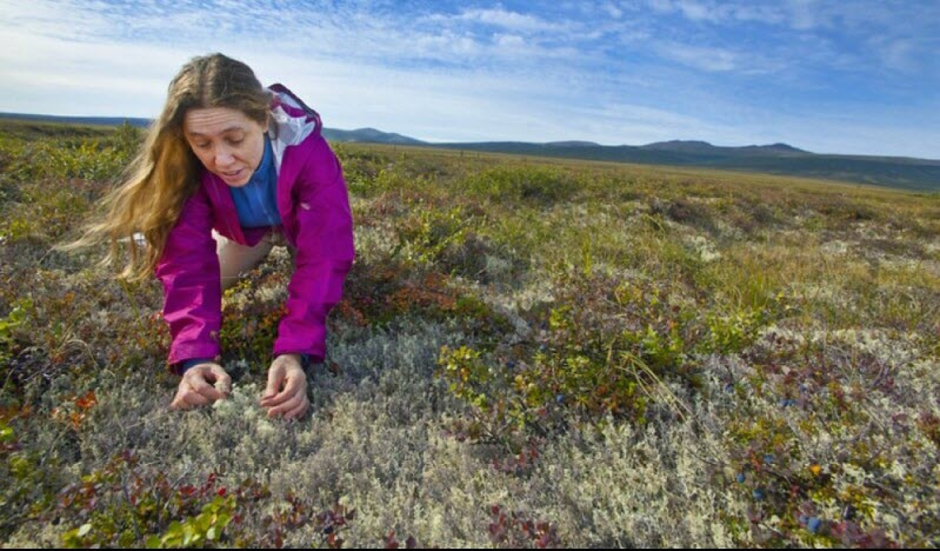 A woman in a pink jacket kneeling over grass in a field