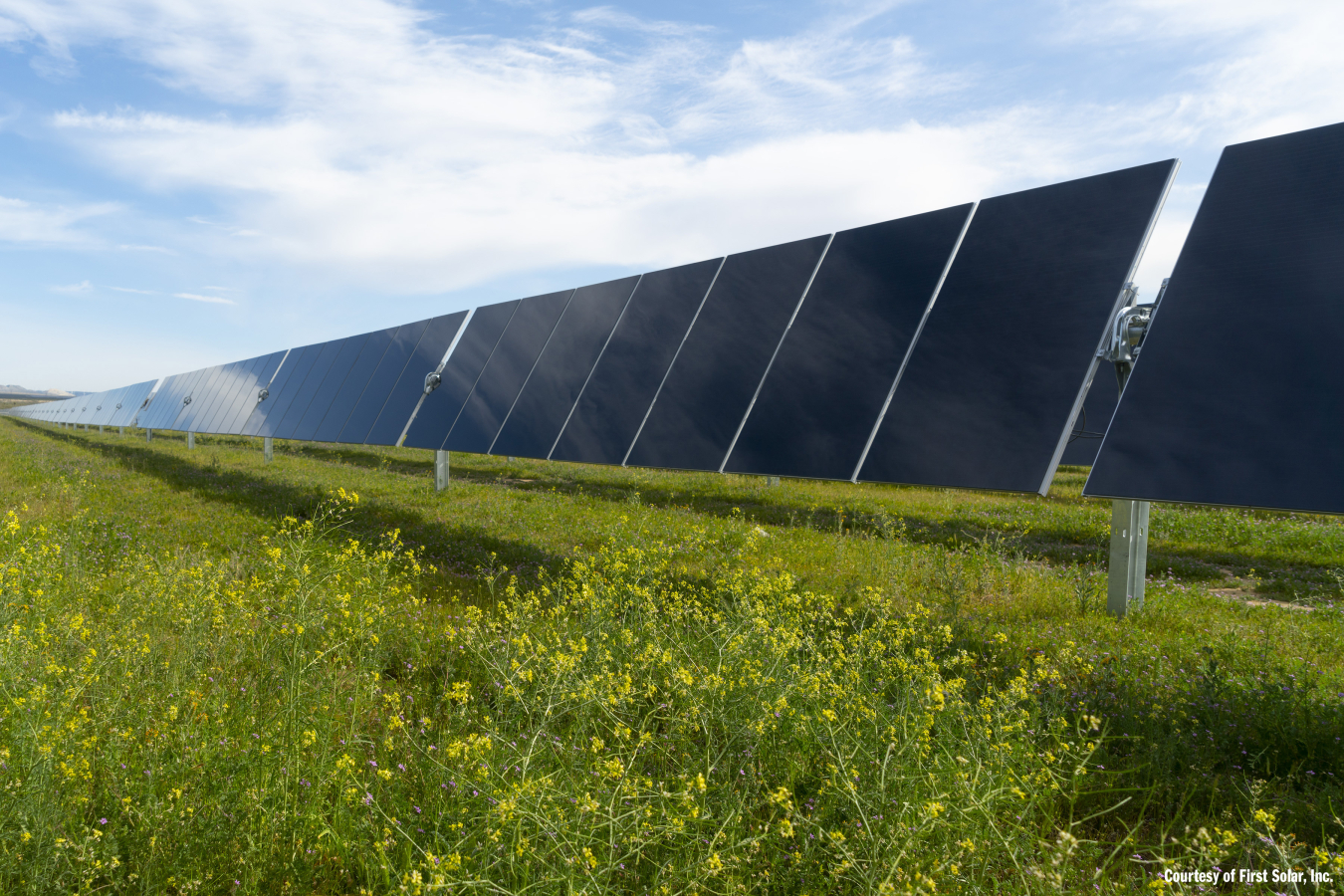 Photo of cadmium telluride solar photovoltaic panels in an outdoor utility-scale facility. 