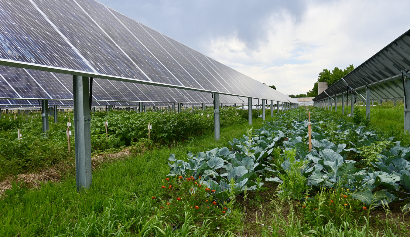 Jack's Solar Garden, a community solar agrivoltaics site in Colorado. 
