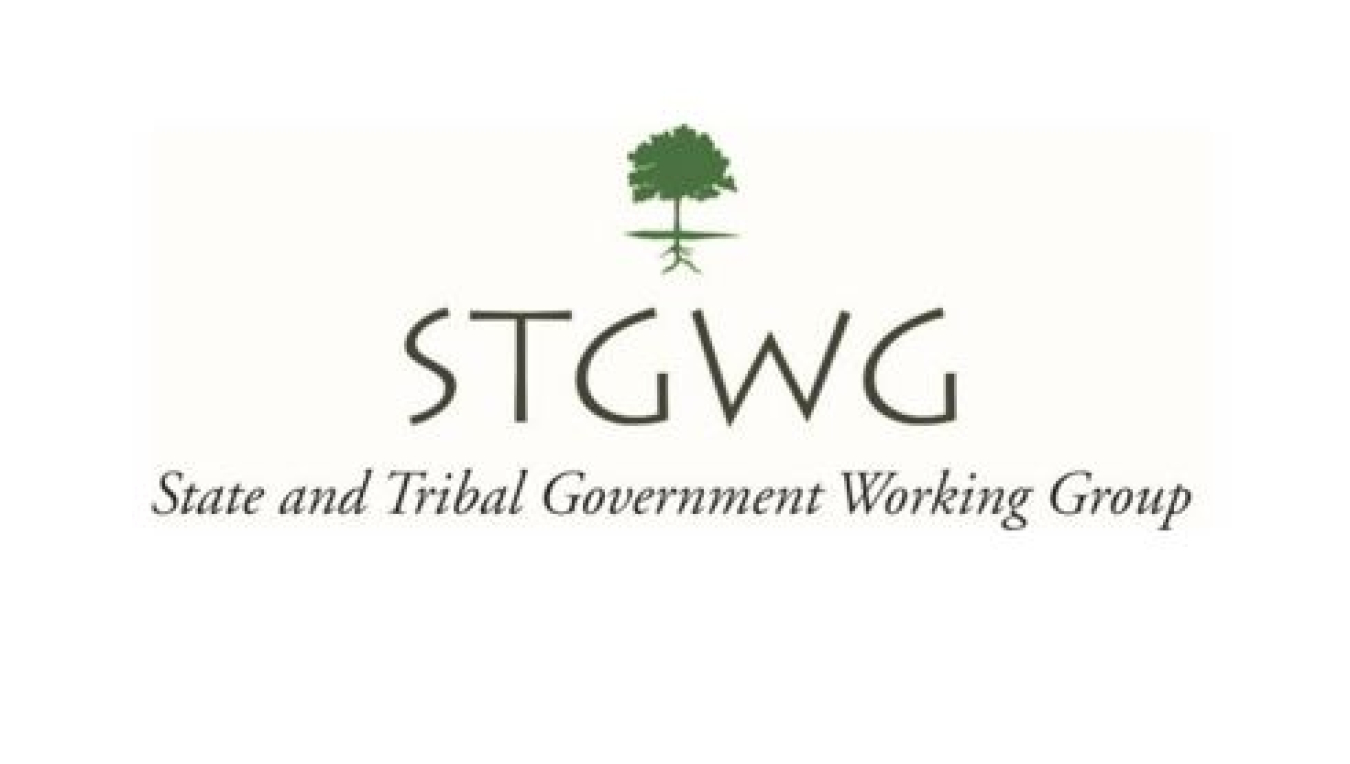 STGWG logo II