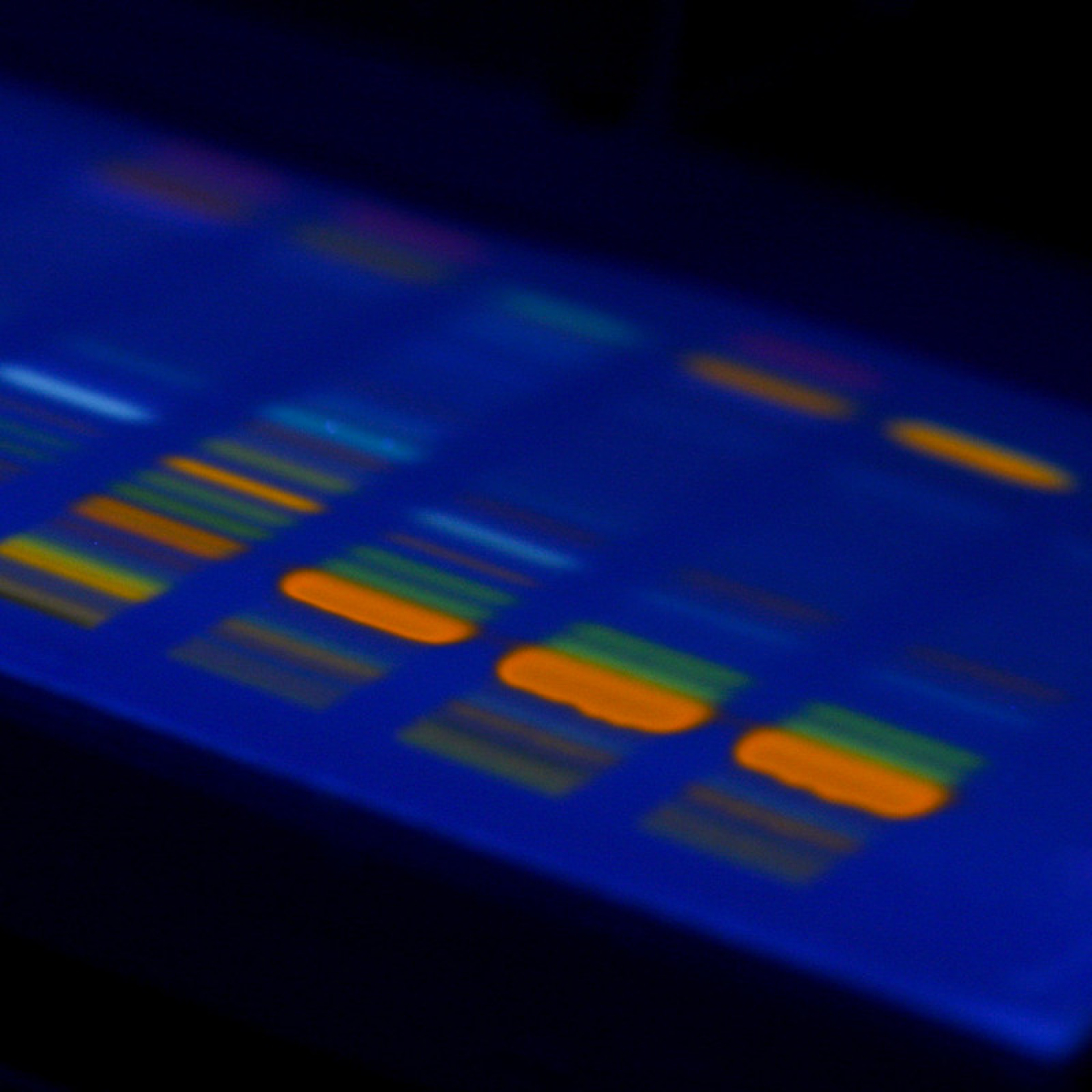 blue band with small multicolor shapes along 