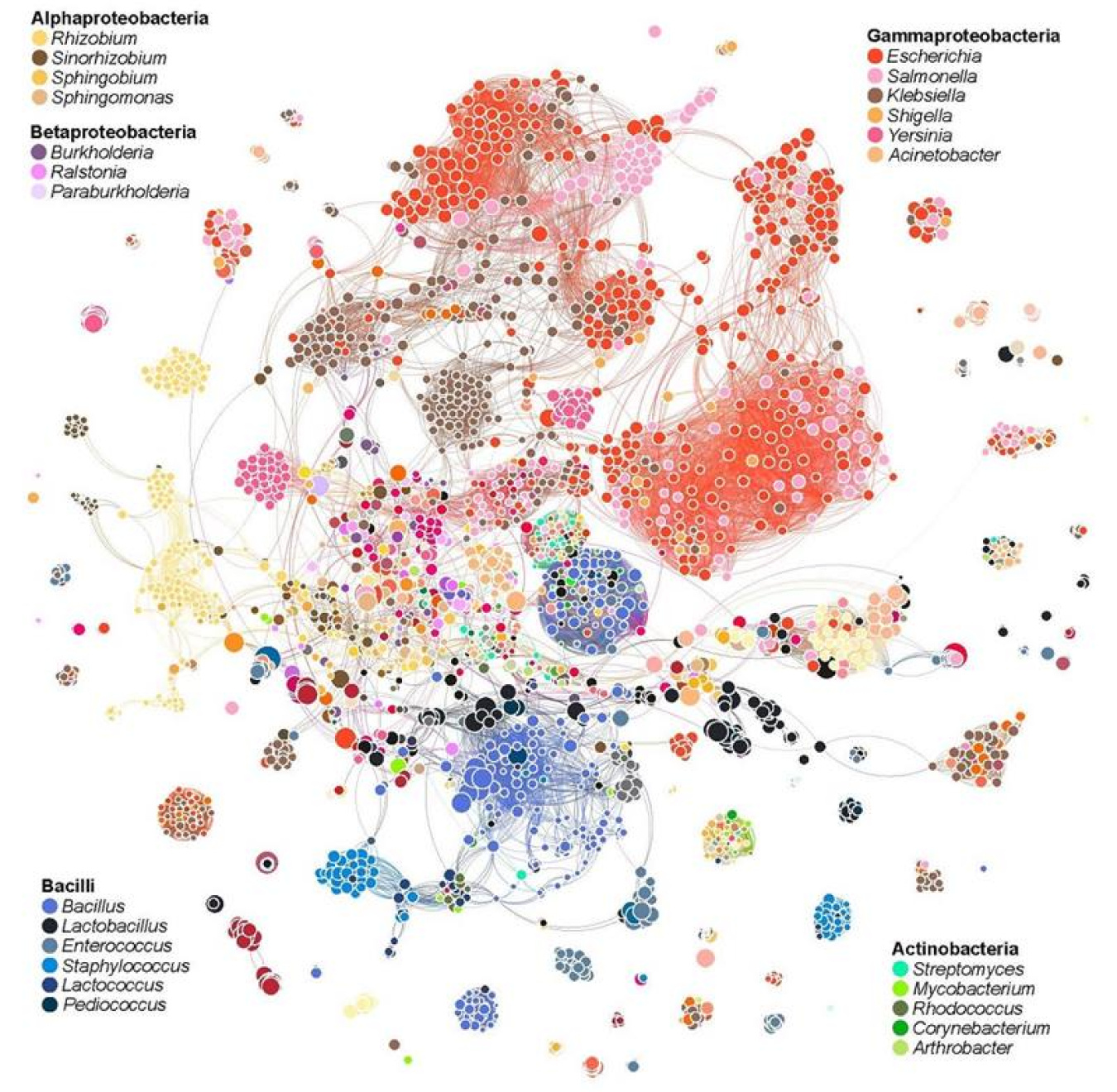 Unlocking the Passcodes to Manipulate Natural Bacterial