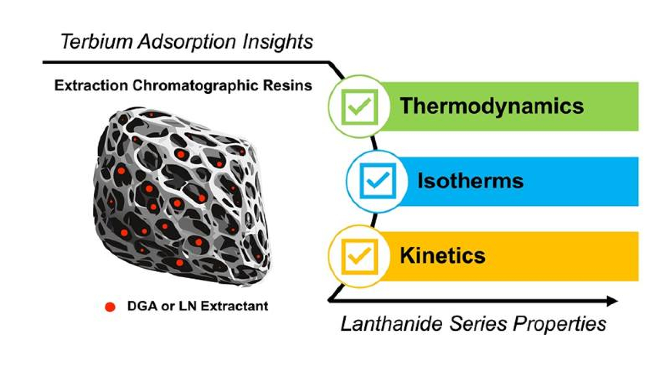 Illustration of an idealized extraction chromatographic resin using DGA or LN extractants. By studying the adsorption properties of terbium on these DGA and LN resins, scientists gain insights into these properties for the entire lanthanide series.
