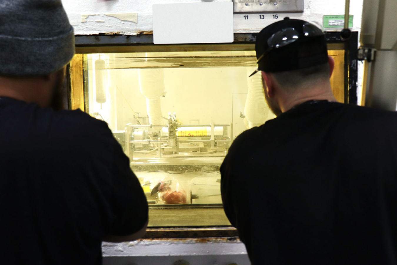 Employees looking inside a hot cell