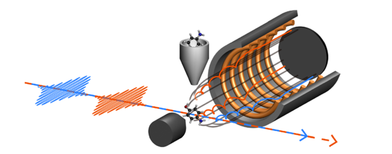 Two synchronized flashes of ultrafast X-rays interact with a molecule. The electrons ionized from the molecule are detected with an energy spectrometer, providing observation of the interaction between the two particles at the attosecond timescale.
