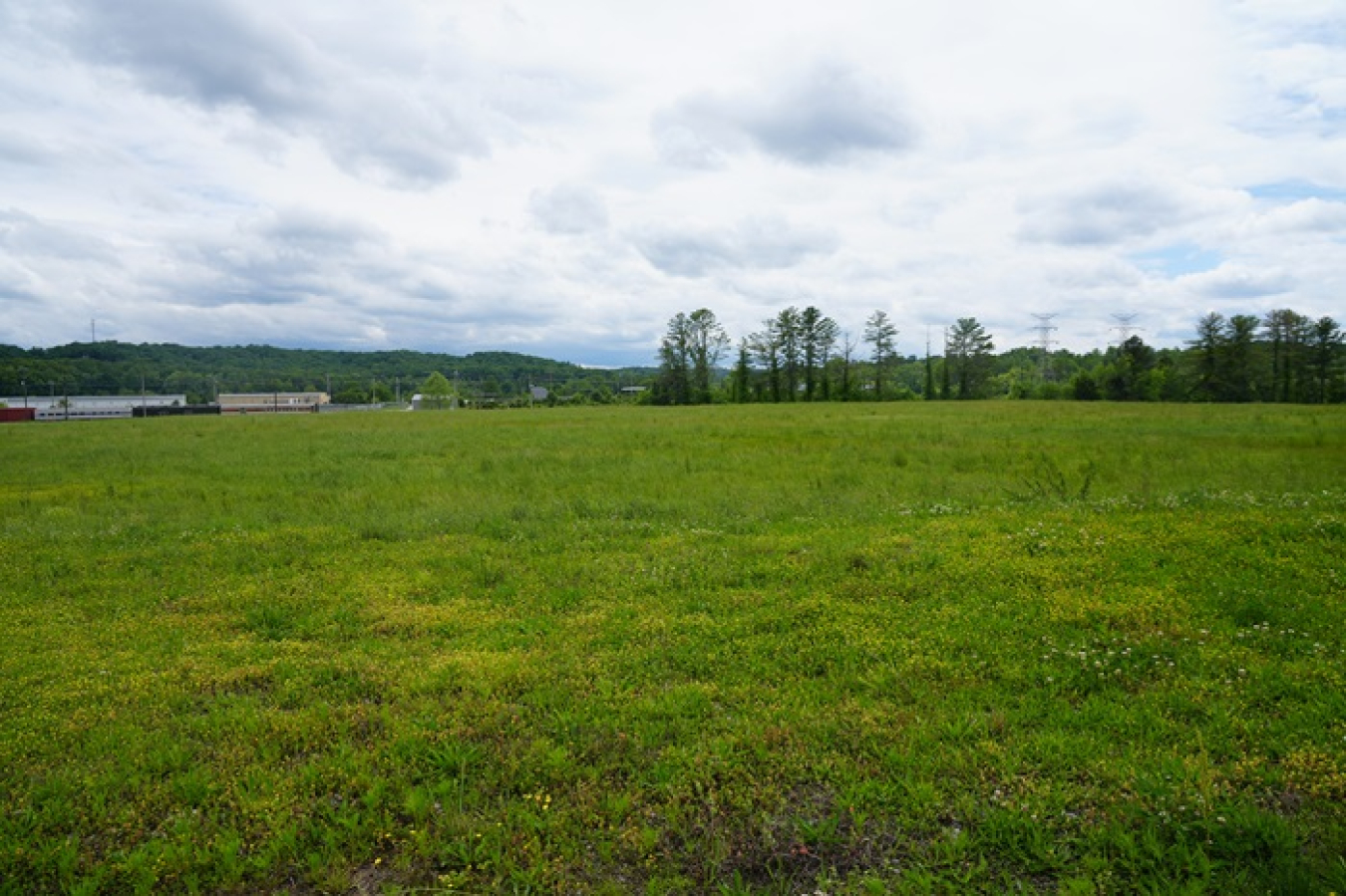 Grassed land at the East Tennessee Technology Park.