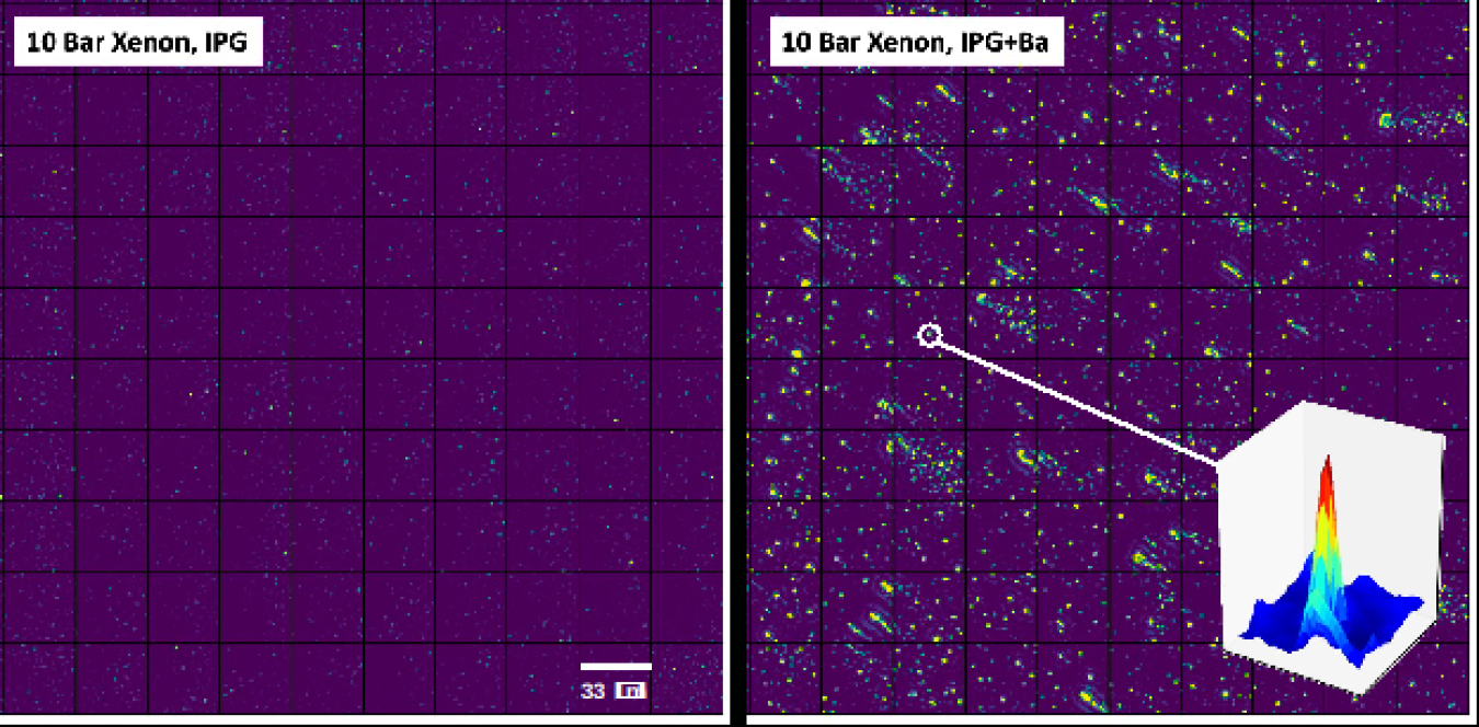 Individual ions are identified via molecular fluorescence in a high-pressure xenon gas detector. Panels show the fluorescence intensity before (left) and after (right) barium is added. Individual ions (bright spots) indicate a double beta decay event.