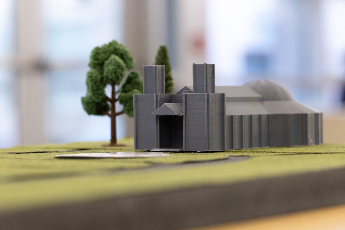A tree and a building