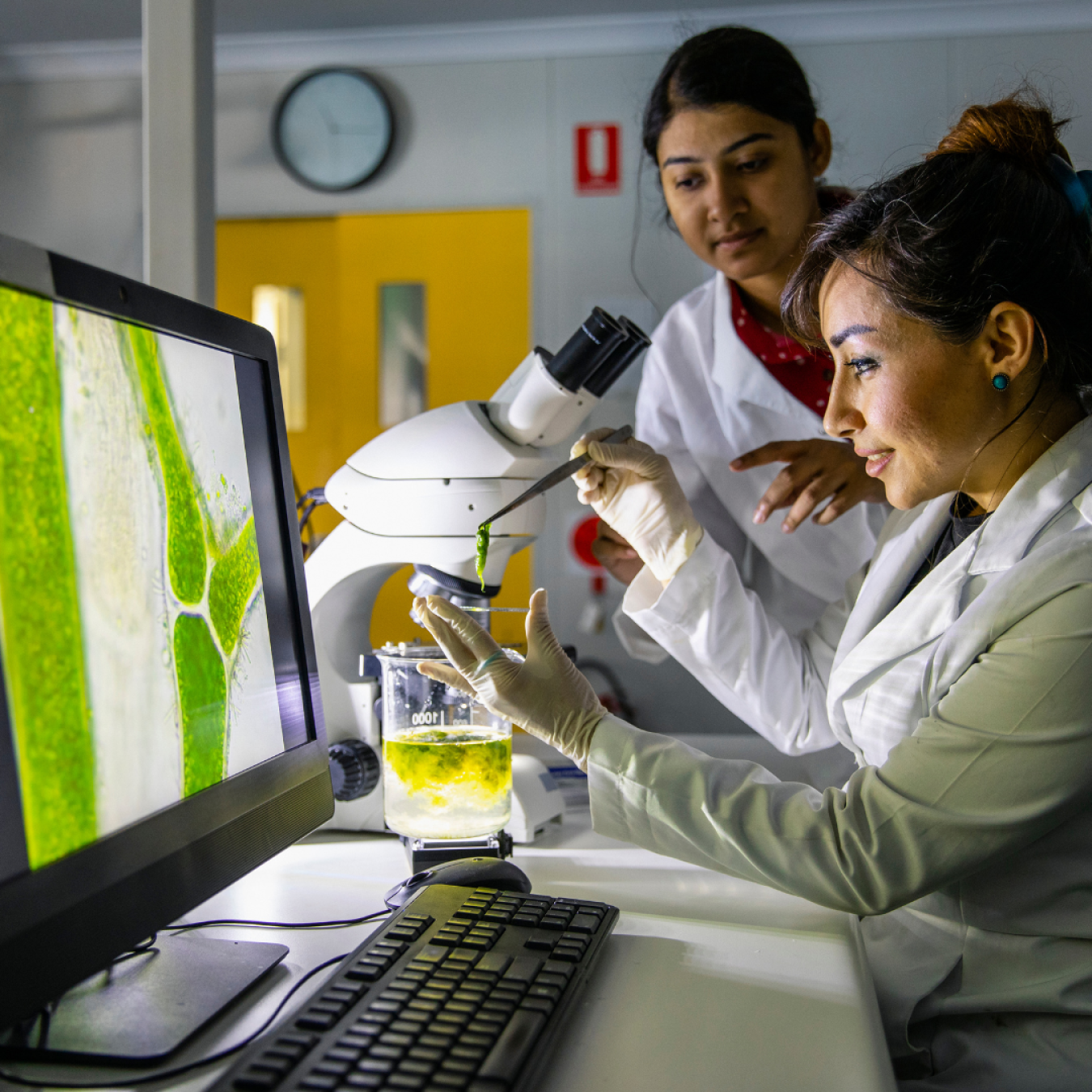 Two people working in a science laboratory. 