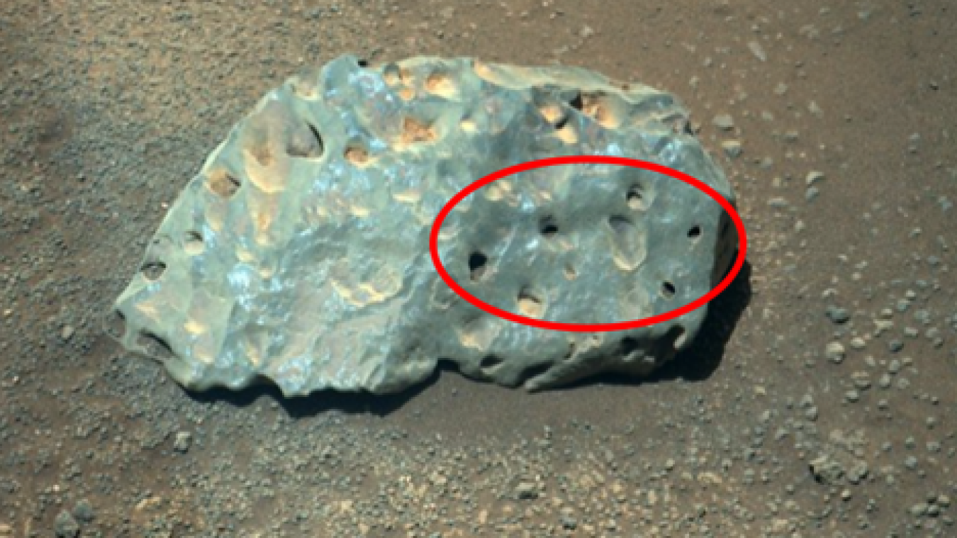 A photo shows a greenish rock on the surface of Mars, with sand and pebbles around it. The rock has a series of round divots in it, all the same size. A red circle surround all of them to highlight them.