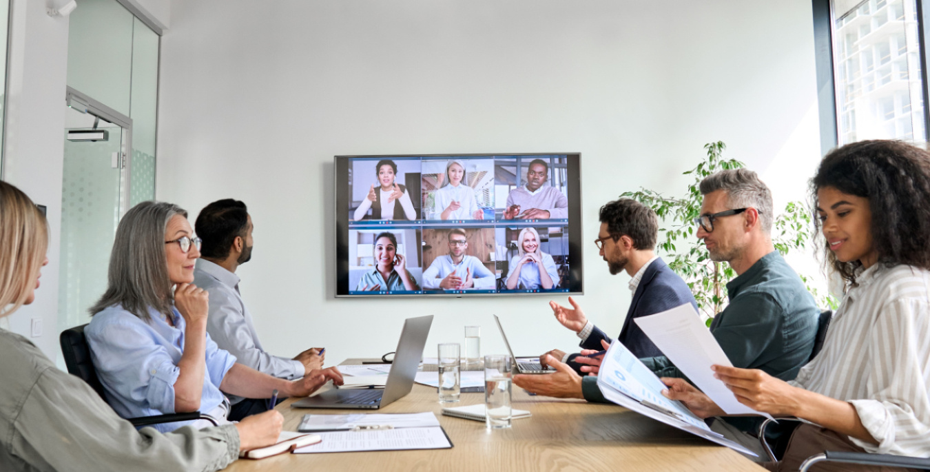 A group of CESER representatives meet with state officials via web conference to discuss strategies.