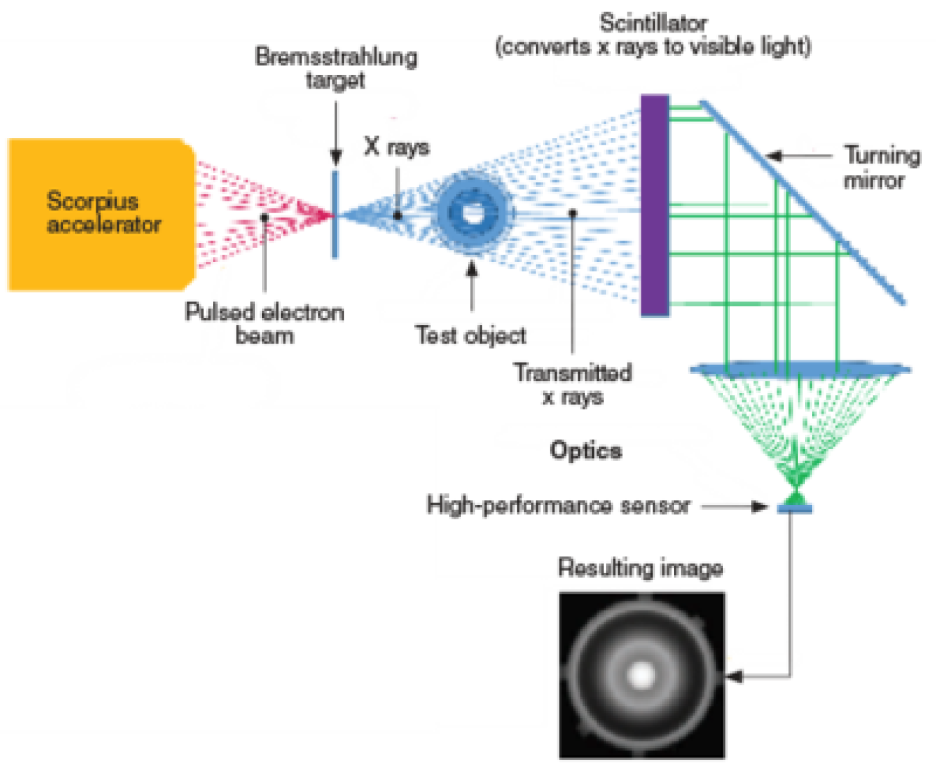 A graphic showing what Scorpius does on the inside. An accelerator focuses the pulsed electron beam on a target, which converts the beam to X-rays, which go through the test object. Behind the test object is a scintillator that converts X-rays to visible light and a turning mirror that focuses on a sensor, which allows technicians to record the image.