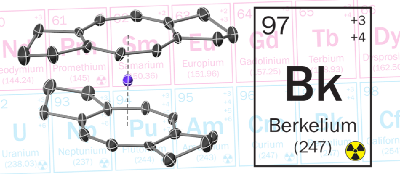 The molecular structure of berkelocene, showing an atom of berkelium (purple) sandwiched between two carbon-based rings (gray). The background shows a portion of the Periodic Table that includes rare-earth elements (pink) and actinides (blue).