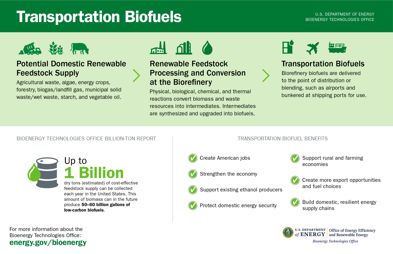 beto-biofuels-infographic