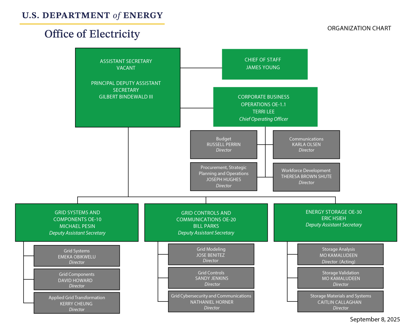 Office of Electricity Organization Chart