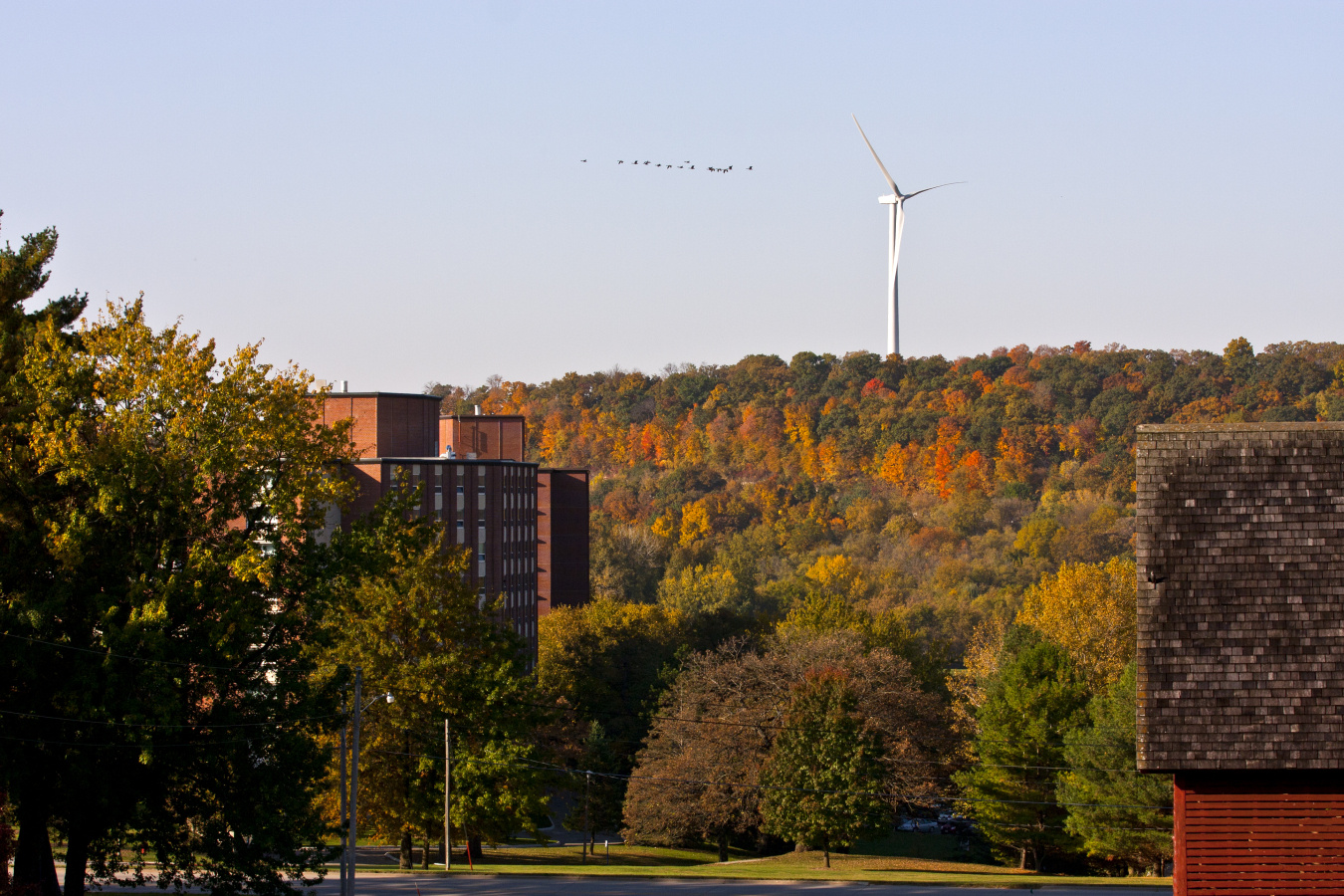 A wind turbine in fall foliage behind a college campus