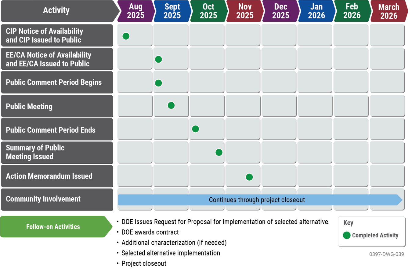 Bettis Timeline 11/24