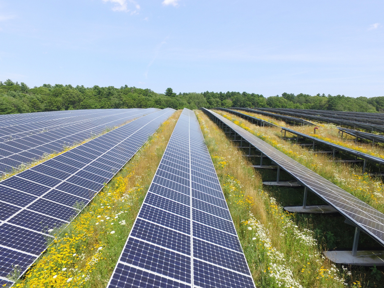 A photo of a large solar array in a grassy field on a sunny day.