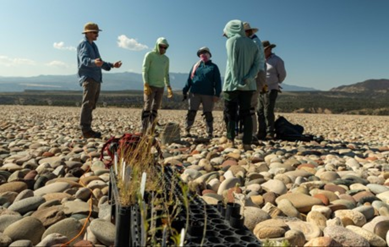 LM and LMSP staff assisting in the project