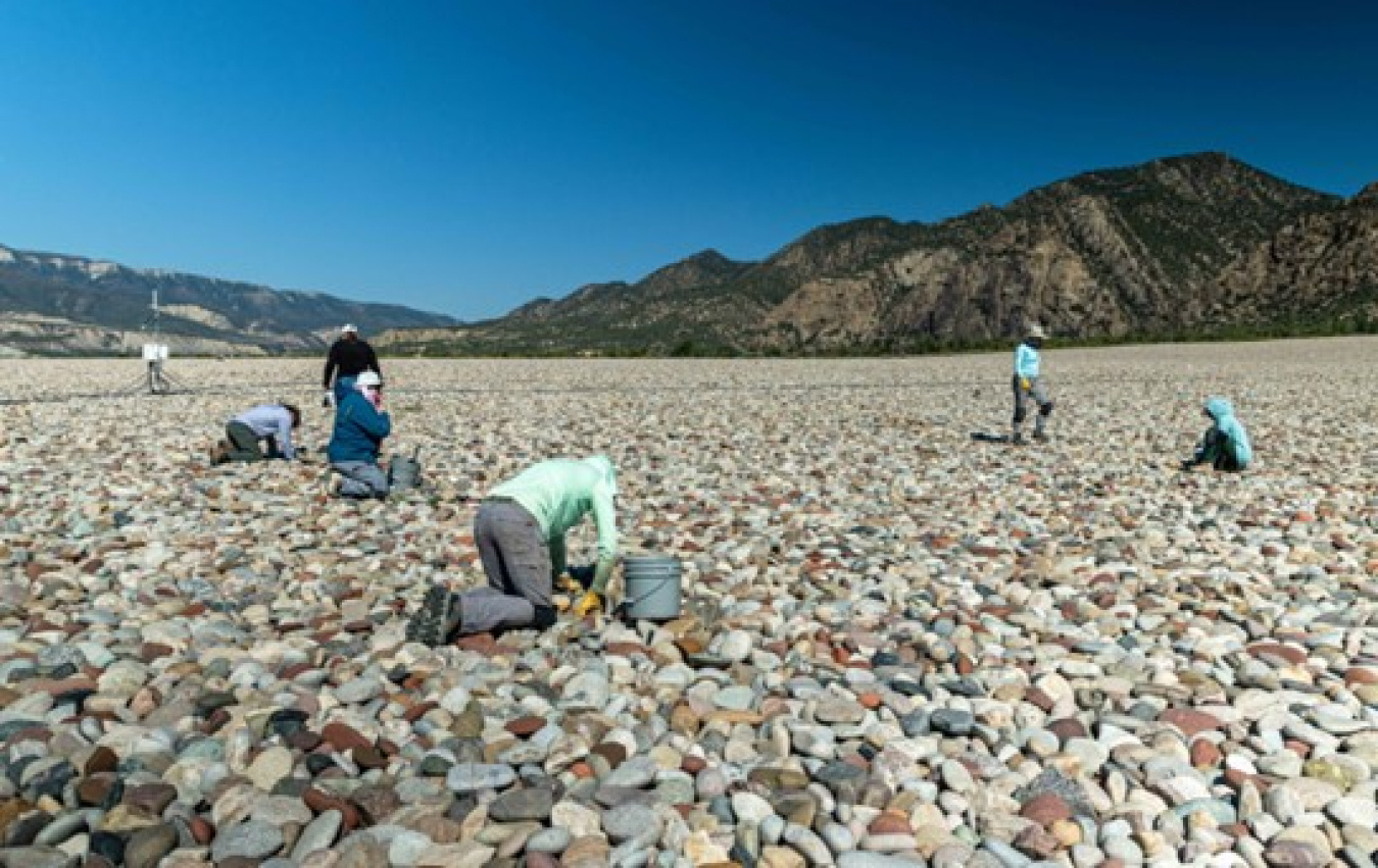 LM Support Partners prepare the holes for planting