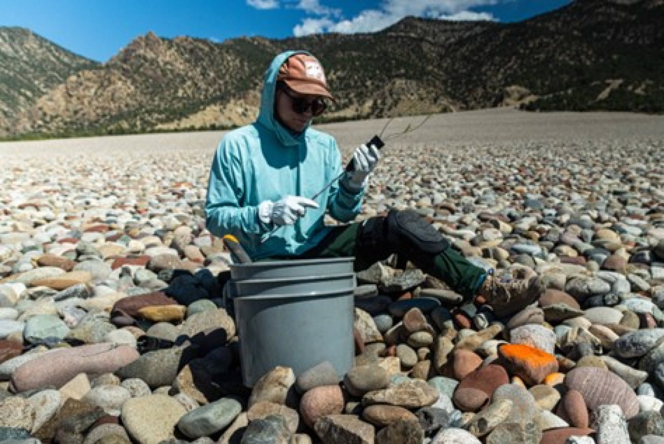 Plants are removed from their protective tubing before going in the ground.
