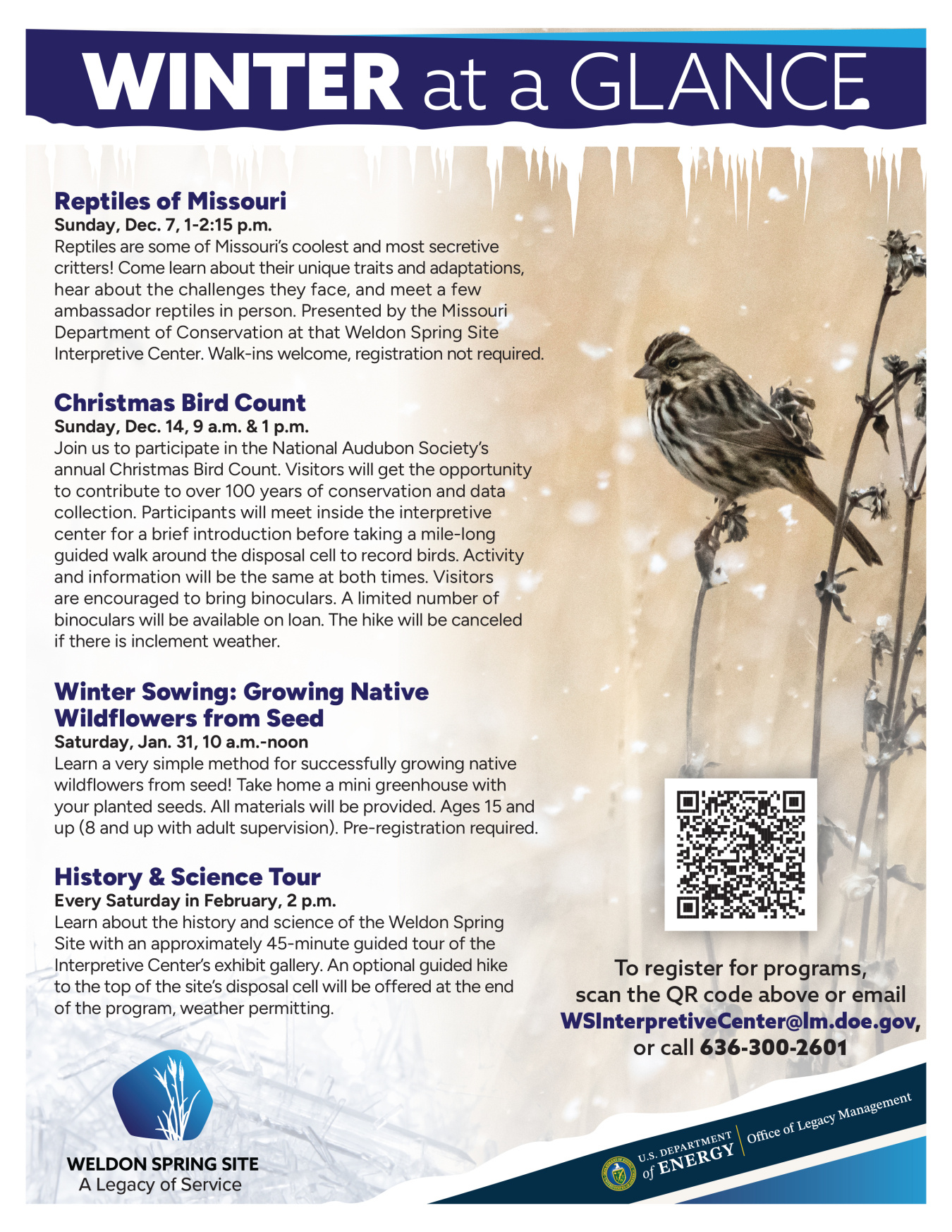 WEL Winter at a Glance flyer